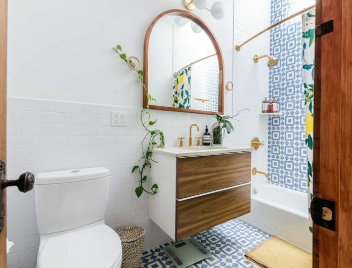 Plants growing on a bathroom counter