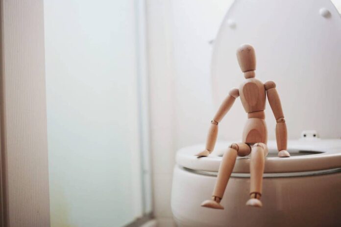 Mannequin doll sitting on toilet