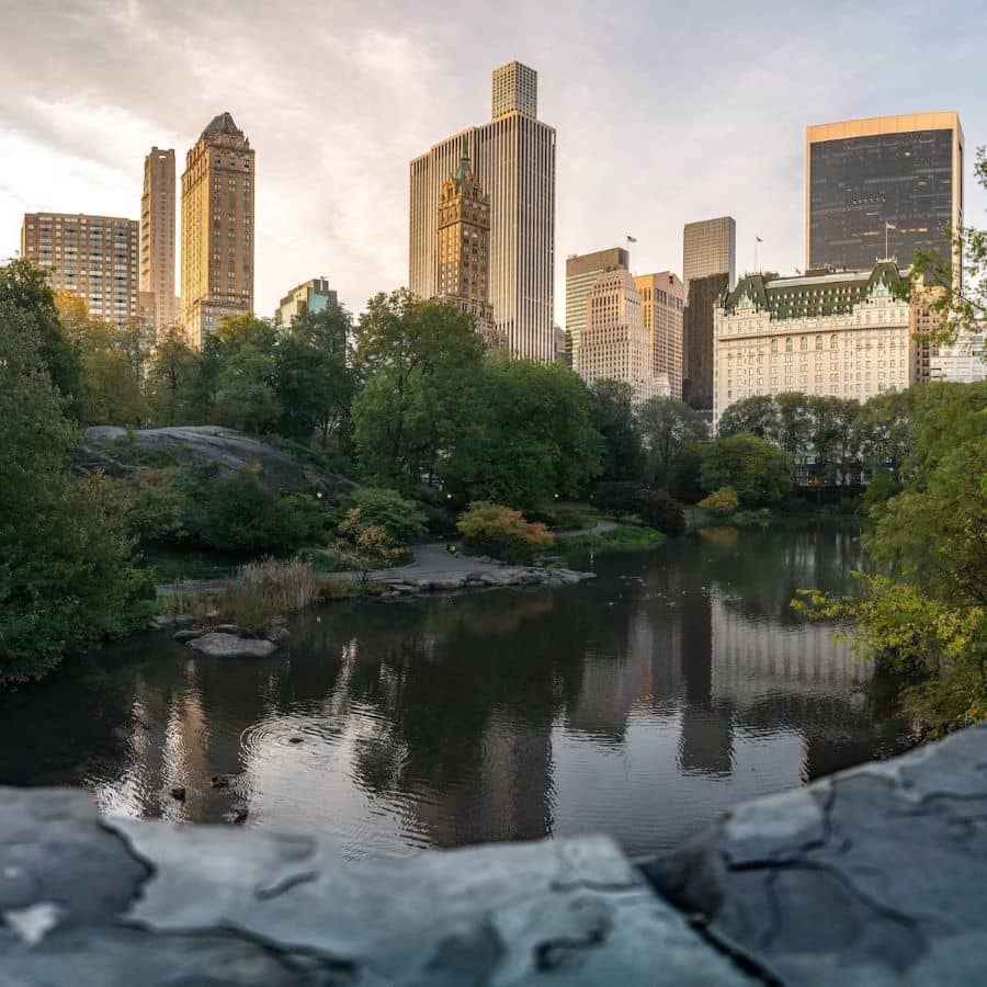 Image of buildings towering above Central Park