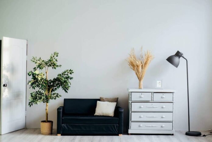 Interior of an apartment with door, plant, couch, dresser, and light